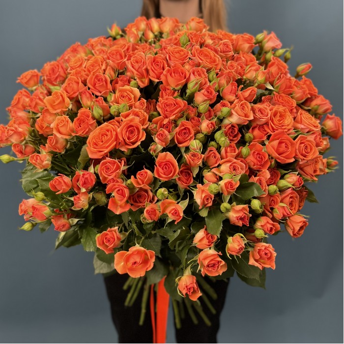 51 кустовая оранжевая роза Чарминг Бейб 60 см